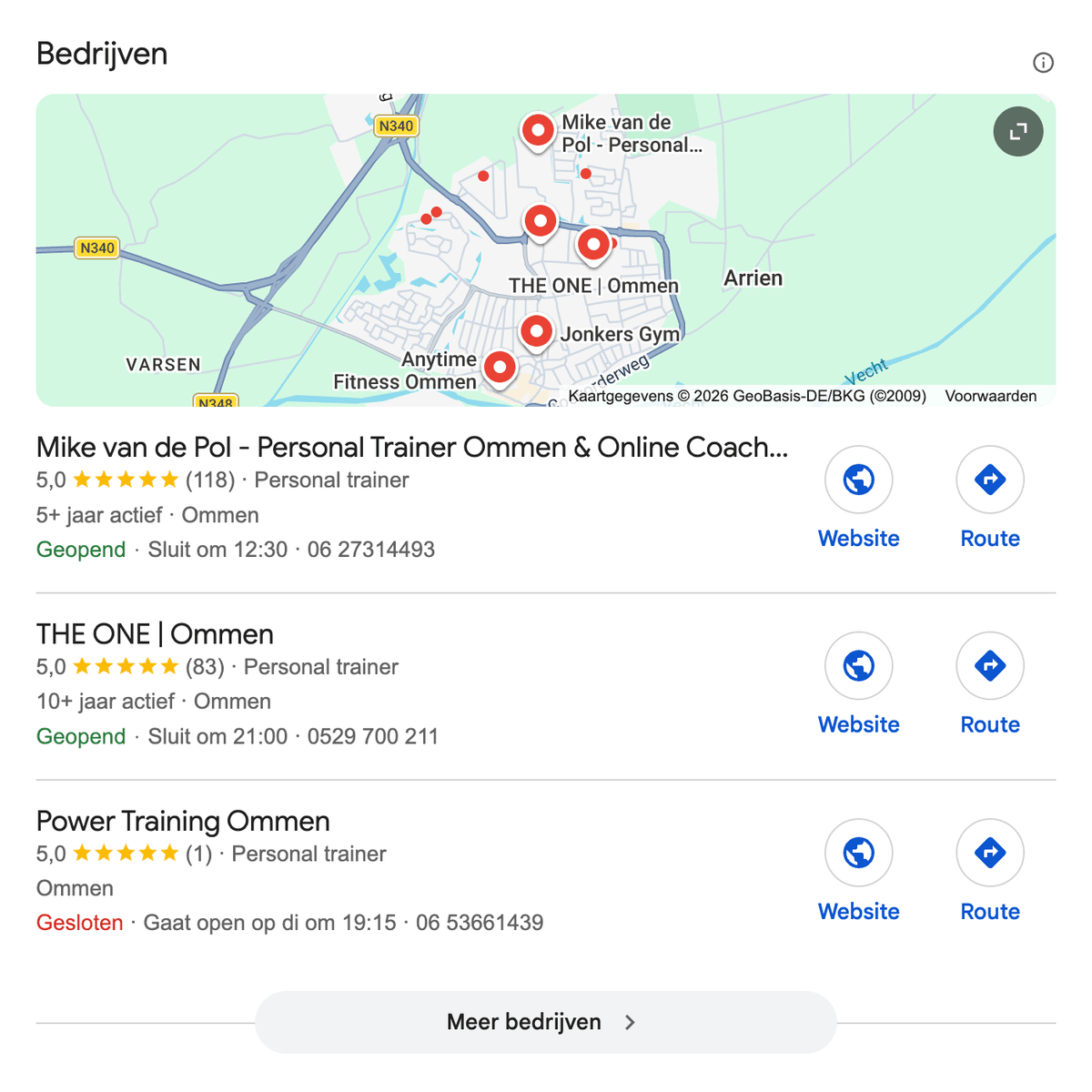Google zoekresultaten voor 'personal trainer Ommen'